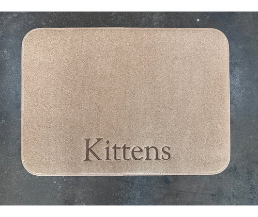 Kittens Pet Mat - from our mistake stack