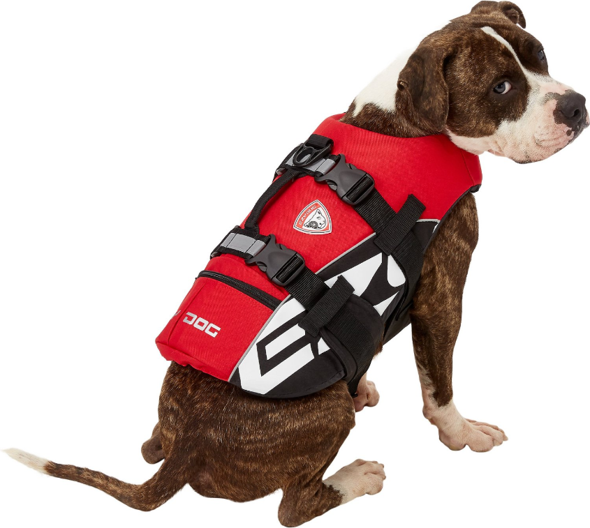 EzyDog DFD Doggy Life Vest