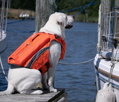 BAYDOG Monterey OFFSHORE Dog Life Jacket
