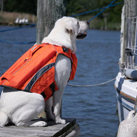 BAYDOG Monterey OFFSHORE Dog Life Jacket