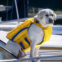 BAYDOG Monterey OFFSHORE Dog Life Jacket