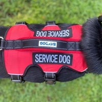 Baydog Service Dog Harness